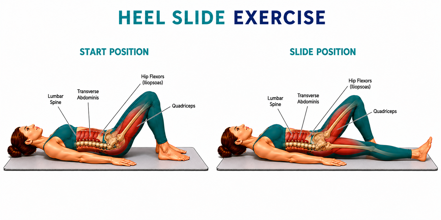 Heel Slide for low back pain — Palmer Chiropractic Kent WA